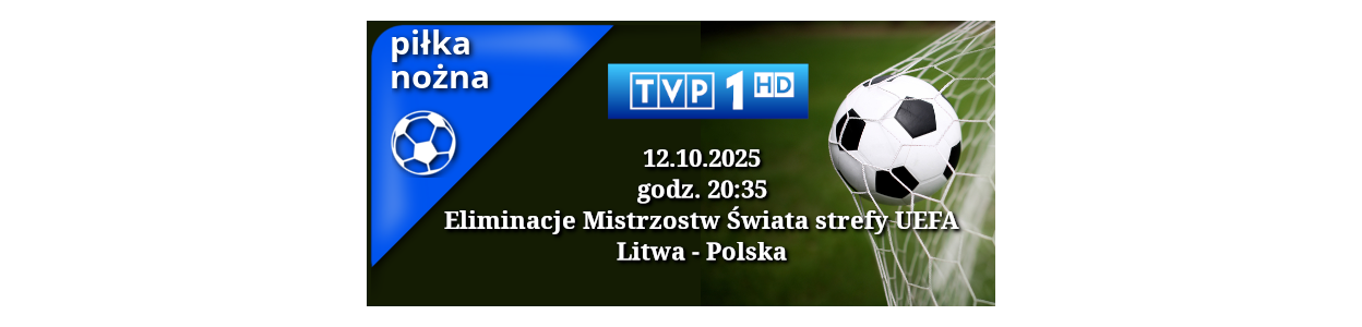 Eliminacje Mistrzostw Świata strefy UEFA